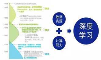 人工智能 終極進化與下一場革命——起底其基礎軟件開發(fā)的基石
